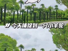 -黄兴公园