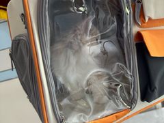 -中农国际动物医院24小时·猫科·骨科·急重症中心