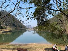 -桃花岭景区