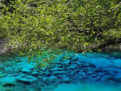 -乡土特色.冷锅鱼.牦牛肉汤锅