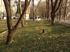 林荫大道-月亮河温泉度假酒店