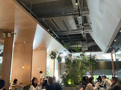 -gaga(深圳福田星河COCO Park店)