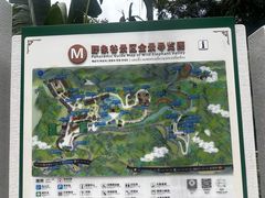 -野象谷景区