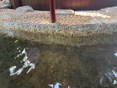 -贞山宾馆水上乐园