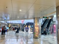 -鹏欣水游城