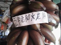 -大湾区中央湿地公园-十九涌