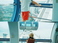 -新加坡摩天观景轮