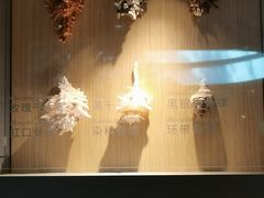 -中国湿地博物馆