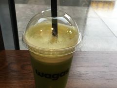 -Wagas沃歌斯(富力广场店)