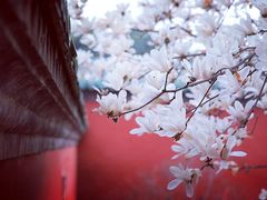 -天坛公园