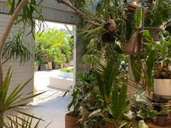 -自由生长植物工作室(深港花卉中心店)
