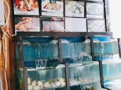 水产区-老东镇啤酒屋海鲜加工·蒸汽海鲜·海鲜烧烤(台东店)