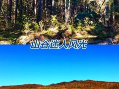 -五营国家森林公园