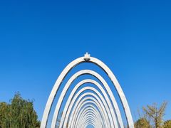 -大兴滨河森林公园