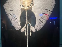-海合安武汉极地海洋公园