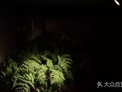 -见山茶事(丽水路店)