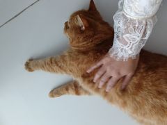 -一间摄影工作室(天安云谷店)