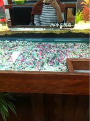 小左美发(南京东路店)-小左美发