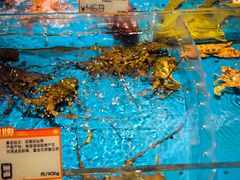-徐记海鲜(大雁塔|金都店)