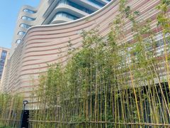 -上海市徐汇区口腔医院