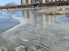 -前关湿地公园