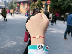 -龙华素斋(龙华路店)