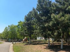 -莫子山公园