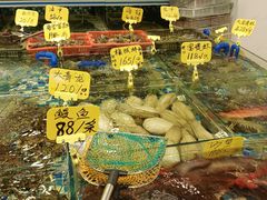 -厦门轮渡码头