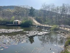 -金石滩蓝莓谷庄园