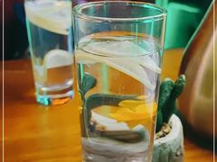 -Famous肥猫墨西哥音乐餐吧(五棵松华熙LIVE店)