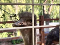 -桑干河大峡谷旅游区