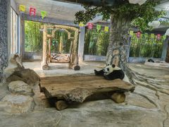 -海南热带野生动植物园