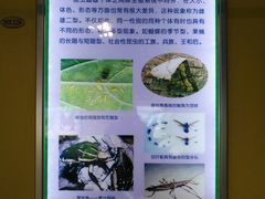 -上海昆虫博物馆