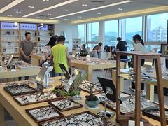 -Eziwish眼镜·蔡司授权店