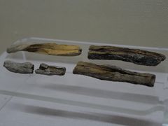 -上海中国航海博物馆