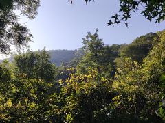 -香山公园