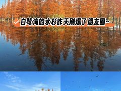 -白鹭湾湿地公园