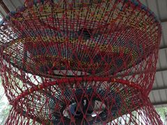 -东方巨龟苑景区