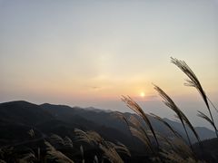 -大围山国家森林公园