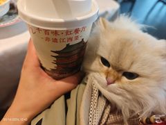 -千百味红餐厅·非遗江西菜(绿地双子塔总店)