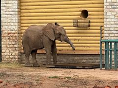 -哈尔滨北方森林动物园