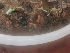 -邵年鸽(杨庄店)
