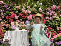 -HERRE·FARM 赫尔露营农场·团建聚会包场