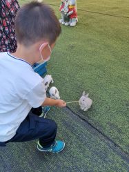 -萌宠亲子动物乐园(槐房万达店)