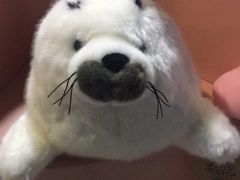-郑州海洋馆