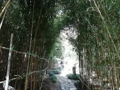 -竹子庵公园