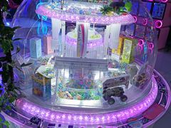 -大玩家(大连高新万达店)