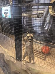 -酷嗒动物文化乐园(cutezoo西溪乐天城店)