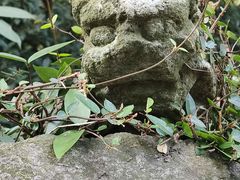 -虎跑公园