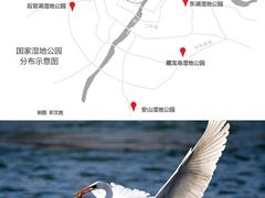 -海合安武汉极地海洋公园